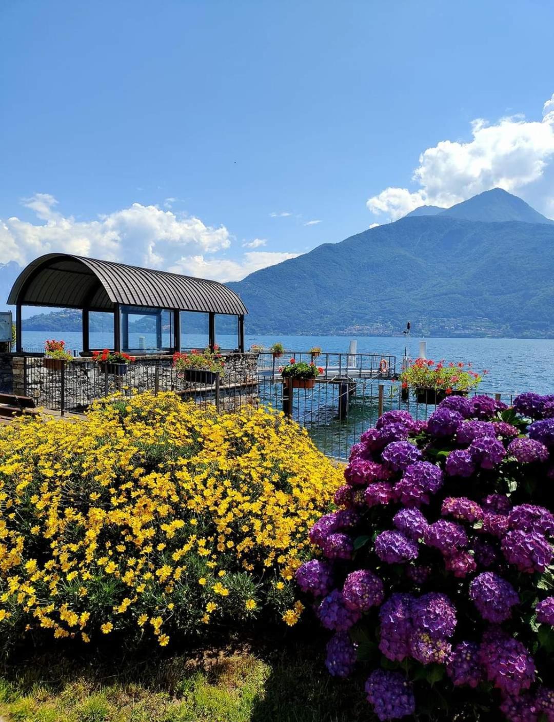 Balcony On Lake Pianello Pianello Del Lario Exteriör bild