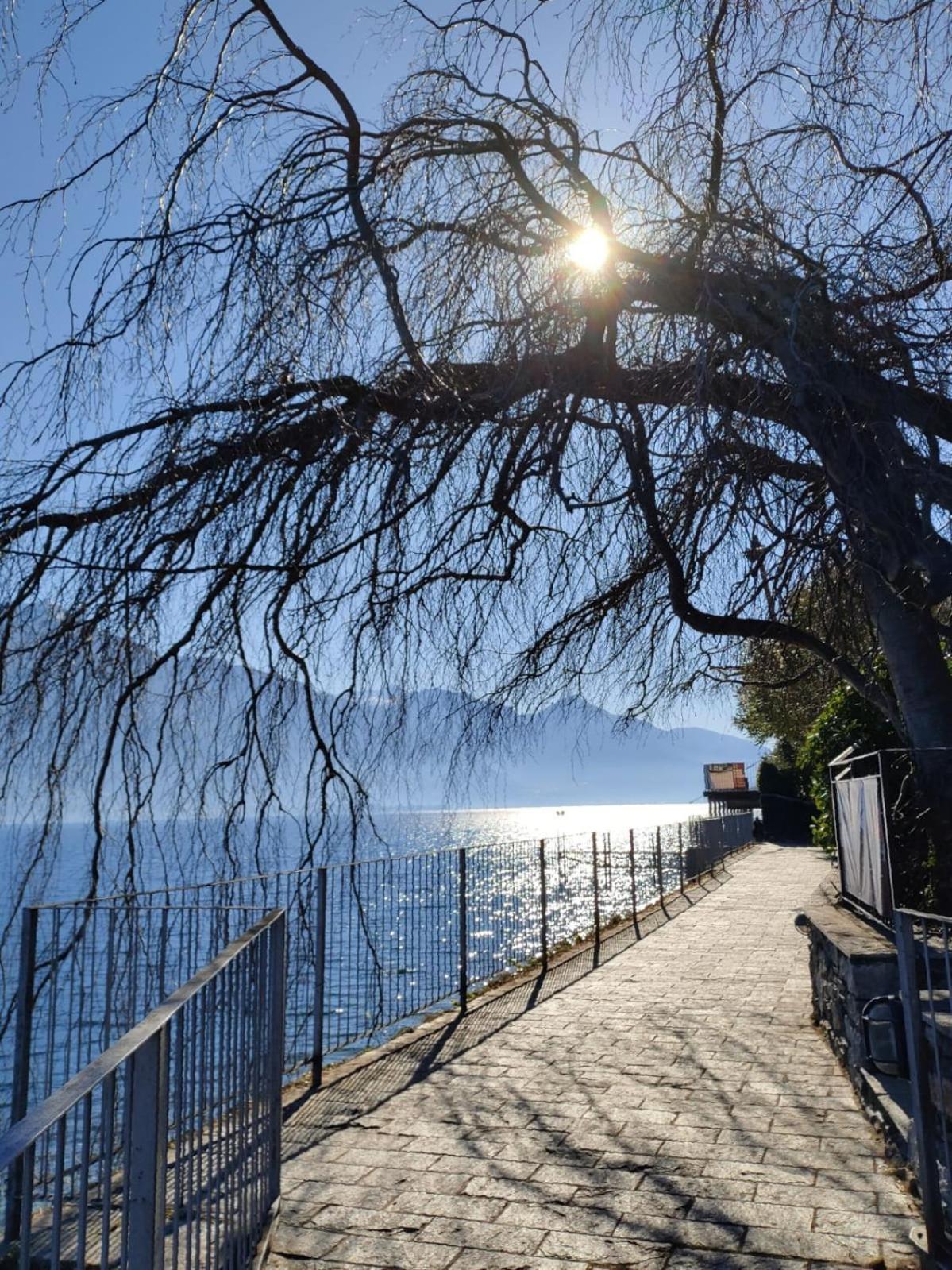 Balcony On Lake Pianello Pianello Del Lario Exteriör bild